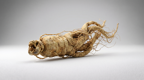 Asian Ginseng