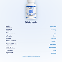 Neurobase — Daily Cognitive Foundation